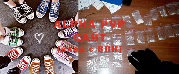 мдпв Гусев