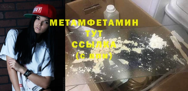 мдпв Гусев