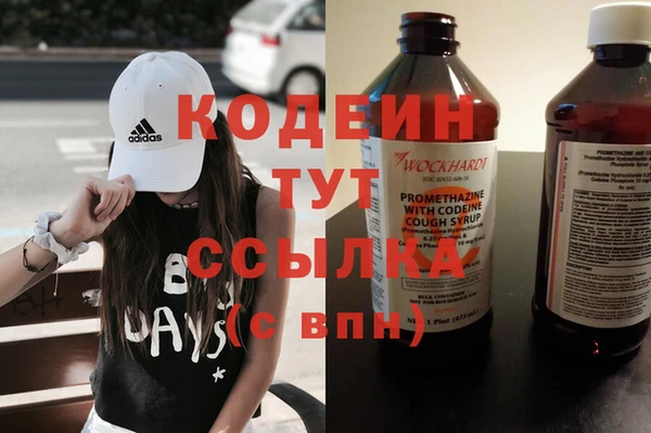 мдпв Гусев