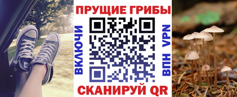 где купить наркоту  Могоча  площадка состав  Псилоцибиновые грибы Psilocybe 