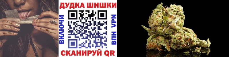 ссылка на мегу как зайти  Могоча  Марихуана сатива 